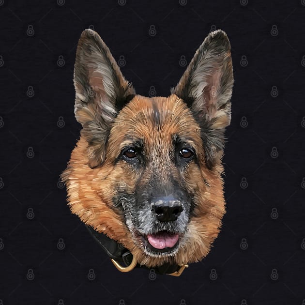 German shepherd by sibosssr